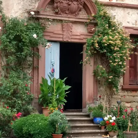 Uebernachten Im Schloss Hoellrich Holiday home *